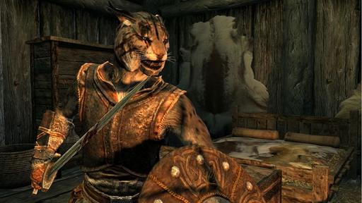 Elder Scrolls V: Skyrim, The - Воины Скайрима. Издание второе, дополненное и улучшенное.